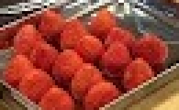 ブログ更新　おいしくなーれ【おいしい・嬉しい・楽しい！】 